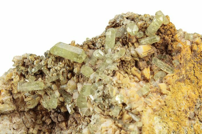 Lustrous, Yellow Apatite Crystals on Feldspar - Morocco #251138